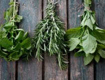 Recipes Using Fresh Herbs