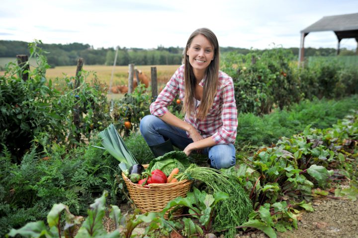 How to Design a Low-Maintenance Garden That Thrives Year-Round