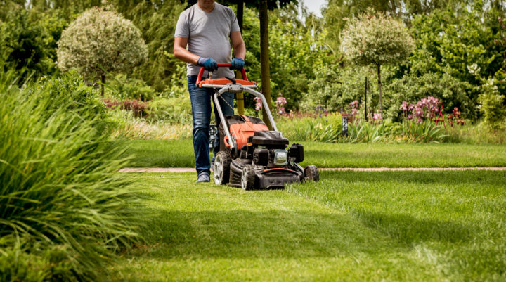 5 Things to Consider When Choosing the Perfect Lawn Mower