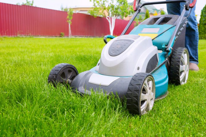 5 Things to Consider When Choosing the Perfect Lawn Mower