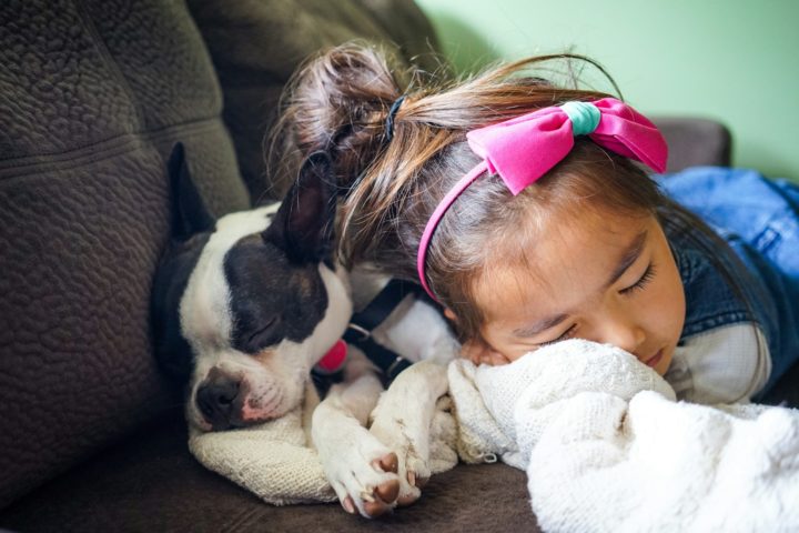 How Pets Make a Big Difference for Kids in Foster Care