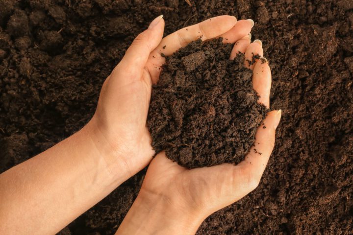 DIY Soil Composting: Turn Kitchen Waste Into Garden Gold