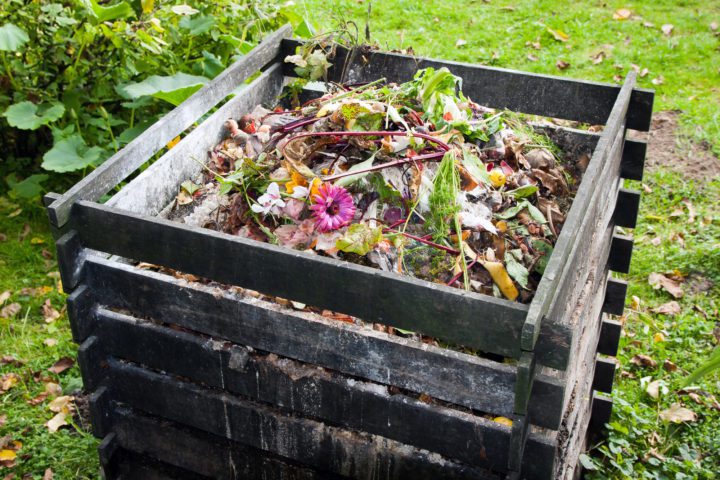 DIY Soil Composting: Turn Kitchen Waste Into Garden Gold