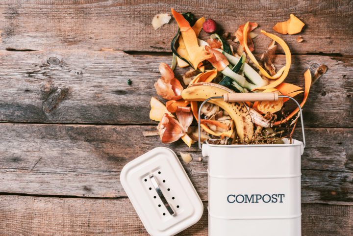 DIY Soil Composting: Turn Kitchen Waste Into Garden Gold