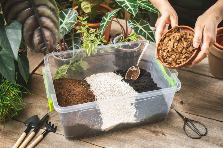 5 Innovative Ways to Use Self-Dumping Hoppers in Your Home Garden