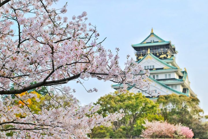 Best Cities To Visit in Japan