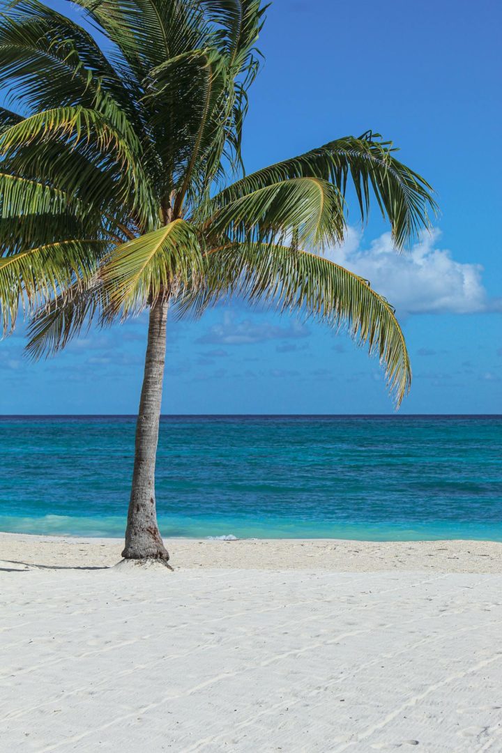 Beaches in Jamaica