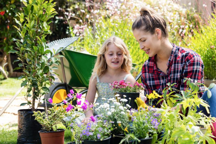 Cultivating Joy: Essential Strategies for Making the Most of Your Garden