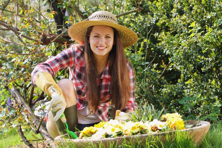 Cultivating Joy: Essential Strategies for Making the Most of Your Garden