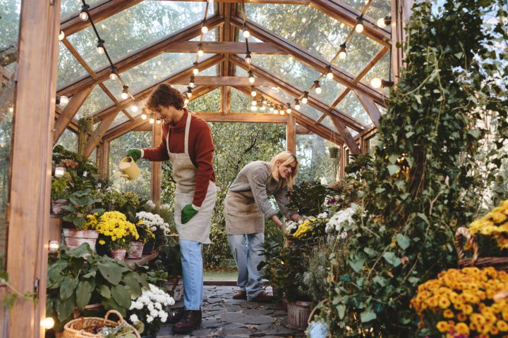 Cultivating Joy: Essential Strategies for Making the Most of Your Garden