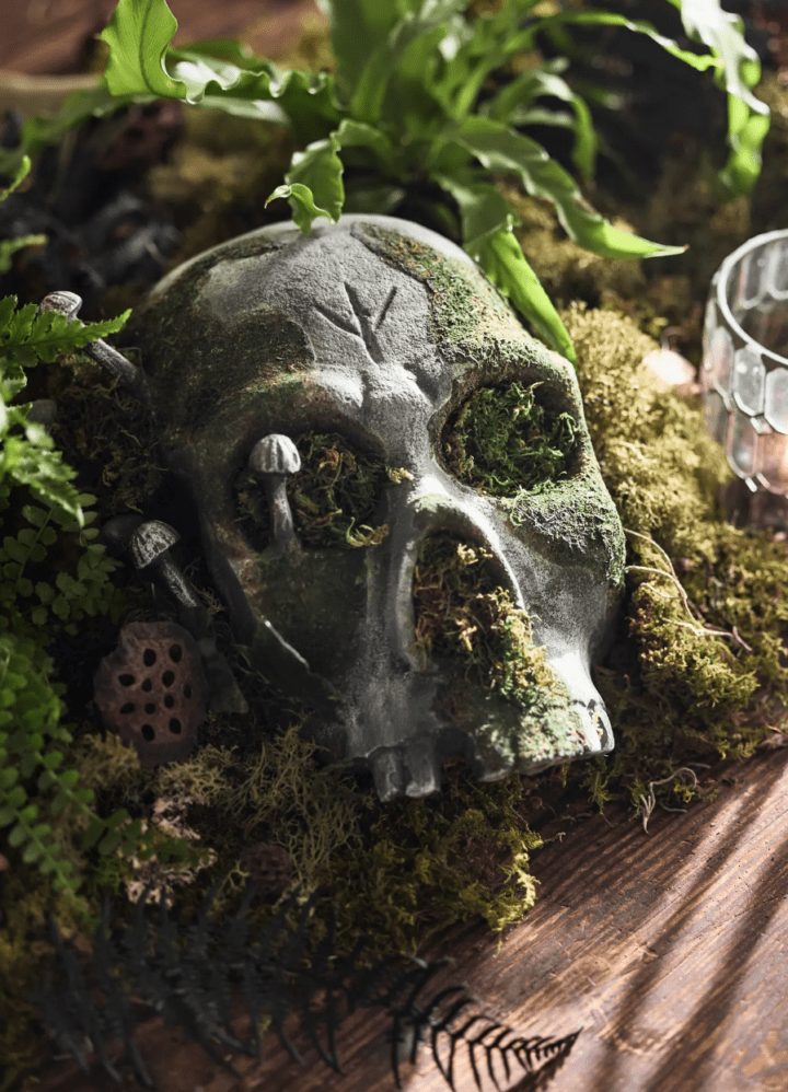 Cute Halloween Front Porches Anthropologie Mossy Metal Skull