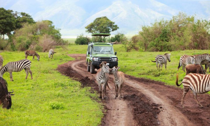 The Best Luxury Safari Activities – From Game Drives to Walking Safaris
