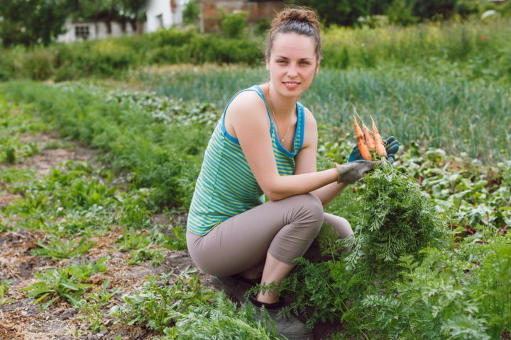 Starting Your Own Garden