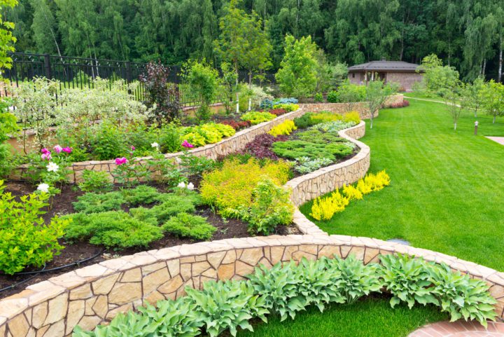 Garden Designs and Layouts