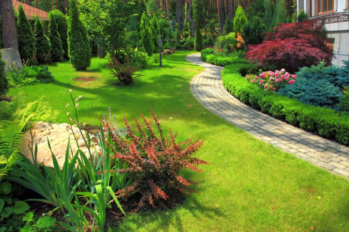 Garden Designs and Layouts