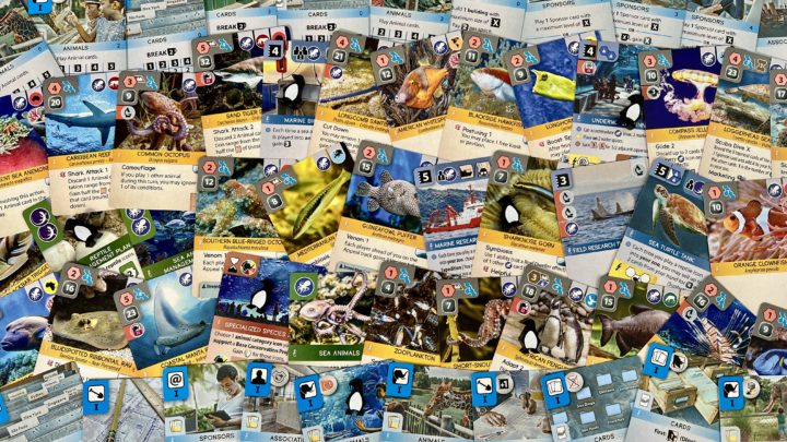 Asmodee Asmodee