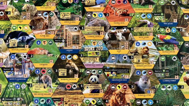 Asmodee Asmodee
