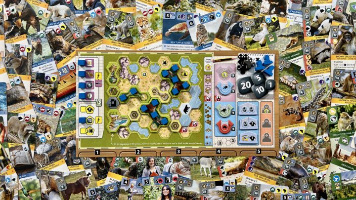 Asmodee Asmodee